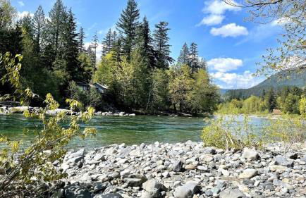 Wild Dog Cabin - Photo 50