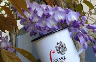 Ferienwohnung Fritzer - Foto 21