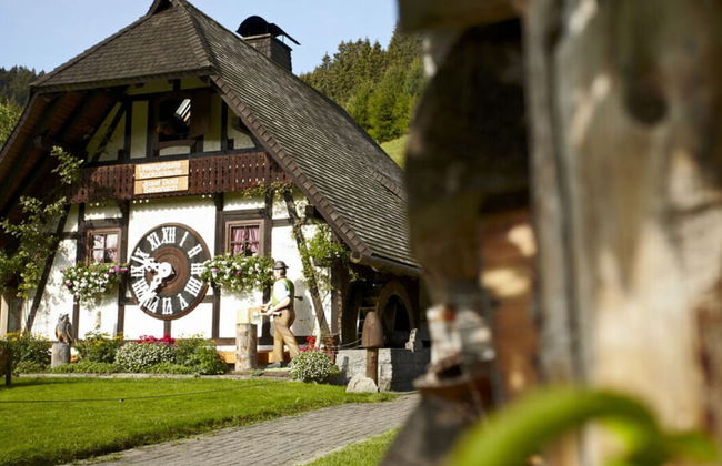 History and Luxus - Photo 37