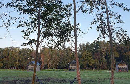 Bujanie w sitowiu - Foto 11