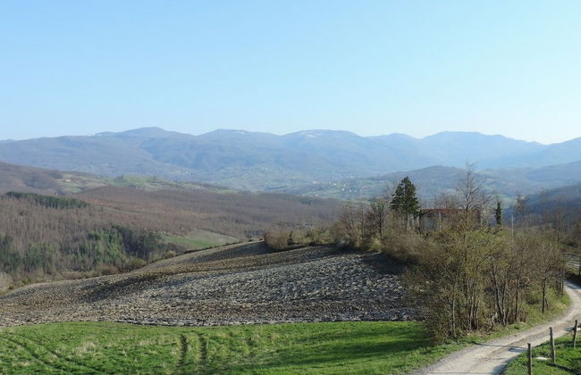 Società Agricola Cacigolara - Foto 61
