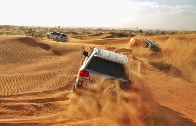 Desert Safari y visita a una granja de camellos - Foto 2