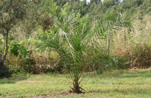 Apartment with Private Pool - Foto 22