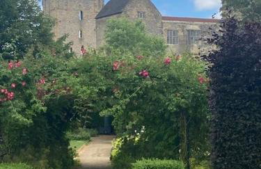 Bulldog Cottage - Photo 13