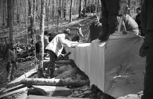 Tana Libera Tutti 3 Nature, Yourself, Love - Foto 48