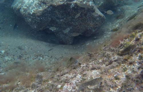 Casa Rural Arguamul - Foto 21