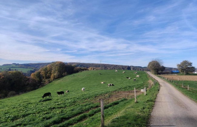 Chalet in Rendeux With Garden - Photo 34