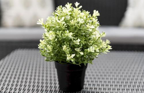 Spacious 4 Bed House Free Parking Near Station - Pass the Keys - Foto 48