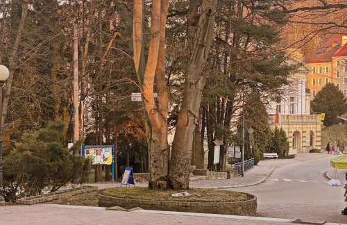 Apartament Zdrój Lądek - Foto 26