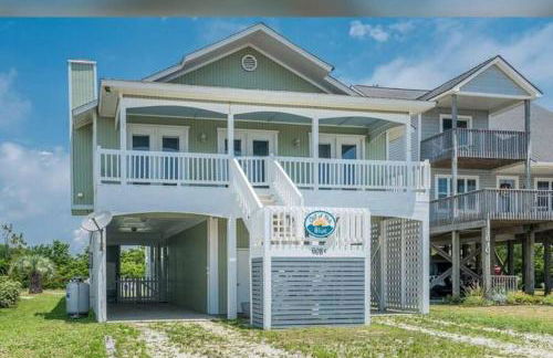 Donovan's Out of the Blue - Foto 1