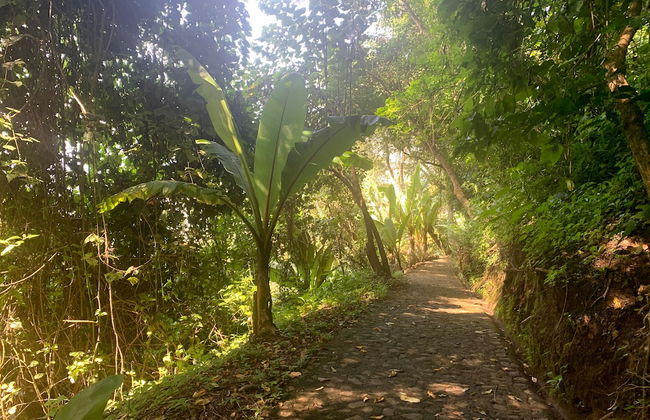 Finca El Tambor - Foto 59