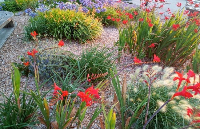 Westward HO Horizon View 17 2 Bedrooms - Foto 9