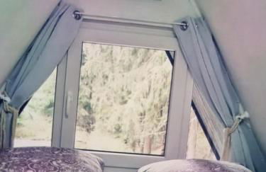 Abenteuerurlaub im Tannenwald - Photo 15