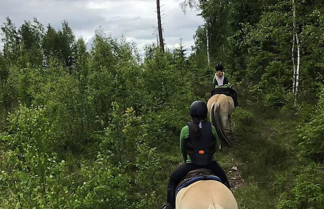 Grönelid Gård - Foto 22