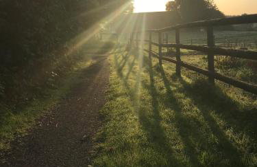 Apartment Grüne Welle - Foto 23