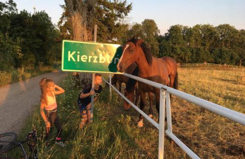 Domki letniskowe przy lesie - "U Łastka" - Foto 36