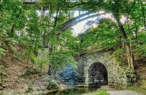 5B Blue Ridge Grandeur-VMI, VA Horse Center, WLU - Foto 18