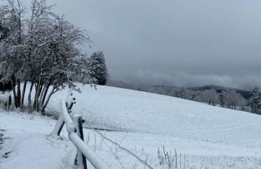 El Pis del Centre - Photo 26