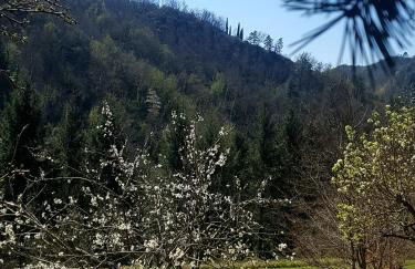 Il Bosco di Campo Marzano Garden Apartments - Foto 19