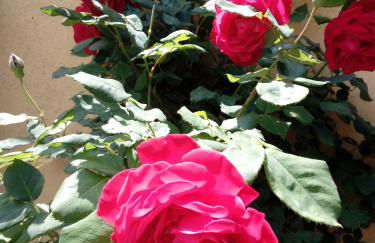 Como Ricky Apartment with parking nearby - Photo 20