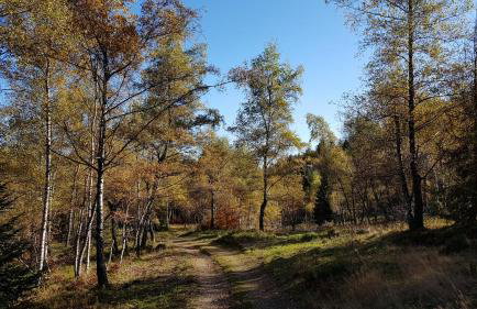 Podbucznik 1 Pilsko - Foto 34