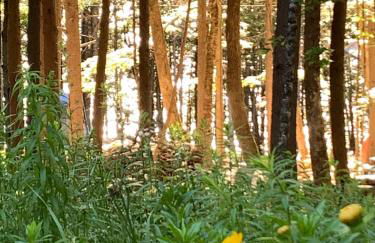 Hidden Gem on Golden Pond - Foto 17