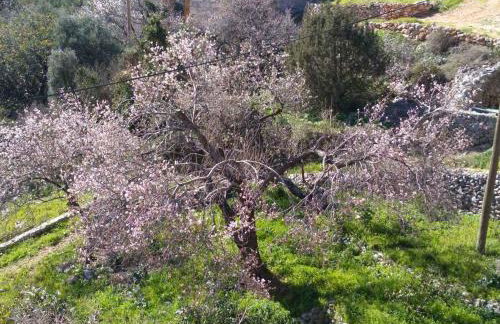 Holiday Home Rubinić - Foto 10