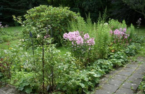 Ferienwohnung Wolfshagen - Foto 6