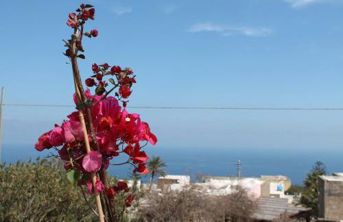 Il Dammuso di Tracino - Foto 30