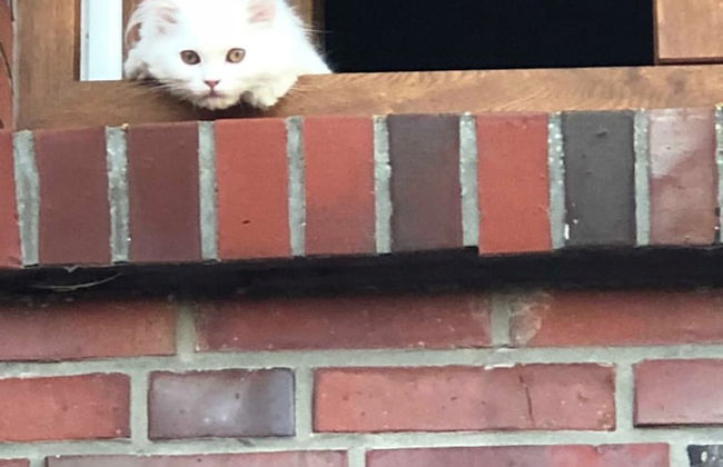 Pension Ferienwohnung Hillrichshof - Foto 21