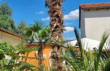 Grahl´s Ferienwohnung - Foto 1