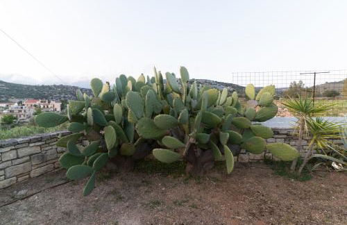 Carob Villa - Photo 63