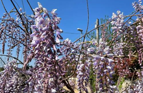 Casa dell'Antica Norba, Norma - big house - Foto 9