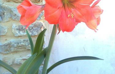 Agriturismo La Carletta - Foto 53