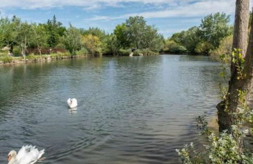 T2 Résidence Sun Hols les Rives du Lac piscine, jardin - Foto 11