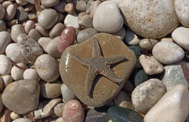 Villa Panoramica / La Nucia (Costa Blanca) - Foto 46