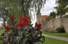 Direkt am Main - Foto 19