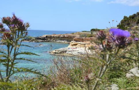 CaSotto il Carrubo, a 100 mt dal mare! - Foto 34