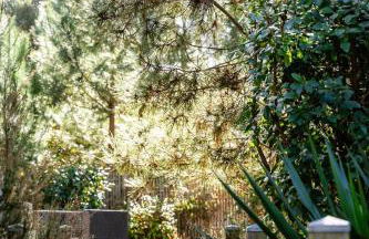 Villa cork contis 1 - Foto 22