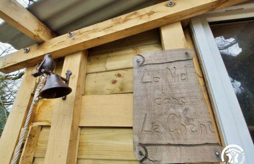 Le nid dans le chêne - Photo 13