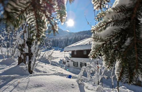 Nattersbergalm - Foto 15