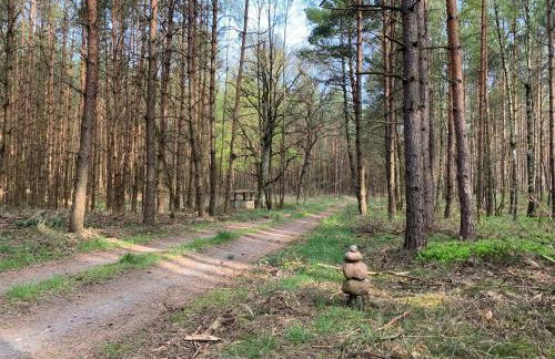 Idyllisches Ferienhaus in ruhiger Lage - Foto 26