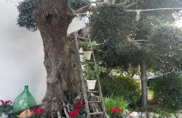 Il trullo di nonno Licchio - Foto 31