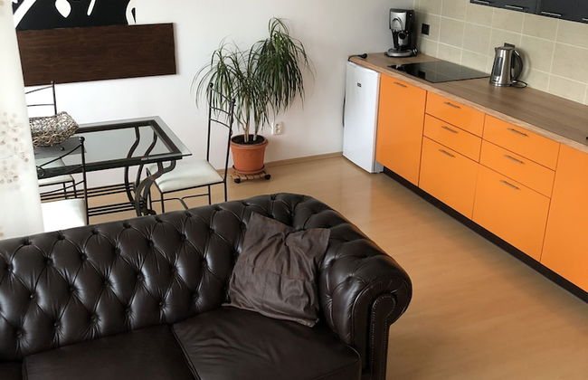 Richie Apartment near Aquapark - Foto 19