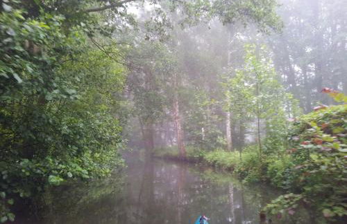 Doppelzimmer im Spreewald - Foto 22