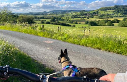 Foxhall Farm - Foto 67