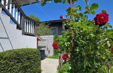 graublau - Foto 9