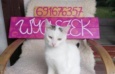 Wyciszek - mazurska agroturystyka - Foto 1