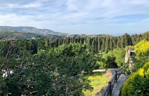 Tranquil Studio Andros - Foto 17