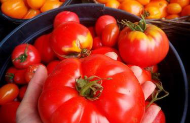 Agroturystyka Zadnie Łuki - Foto 43